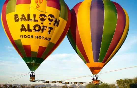 悉尼獵人谷熱氣球看日出【飛躍葡萄園酒莊體驗+可選市區定點接送/早餐+稅費已含+送電子飛行照片】