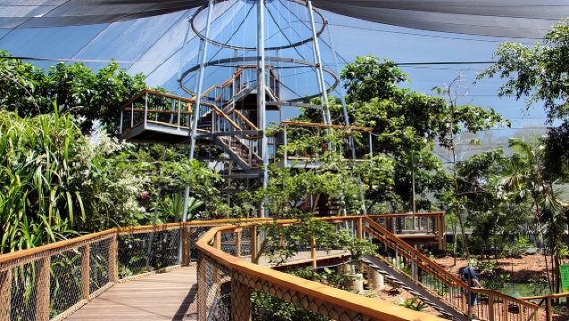 Habitat Satwa Liar Port Douglas