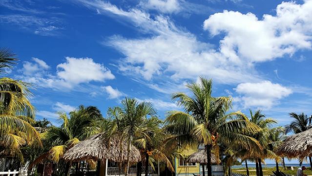 Roatan Shore Excursion - The All in one Roatan Adventure