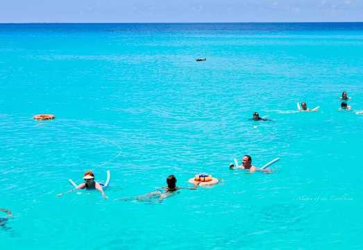 Tropical Catamaran Snorkeling & Sailing