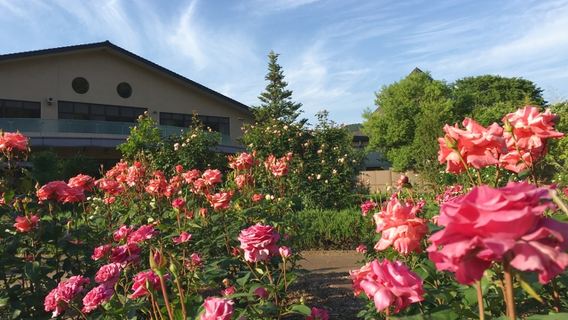丹波市立薬草薬樹公園　丹波の湯
