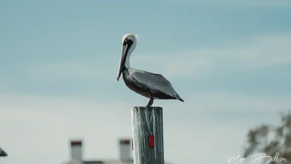 Private Luxury Boat Charter