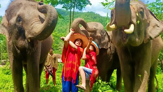 清邁大象營半日遊 LG/納財/可巧大象保護營一日遊黏黏瀑布