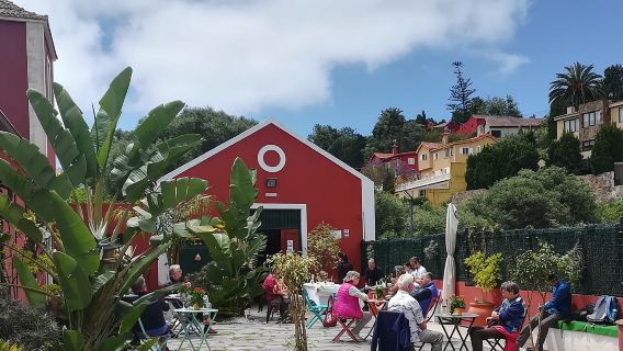 Winery Tour, Wine Museum, and Tasting in Gran Canaria