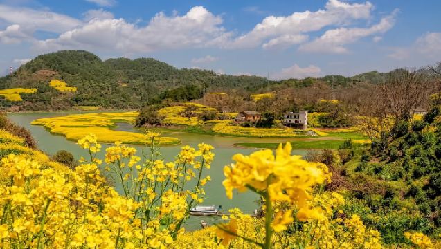 Lawatan sehari sewaan peribadi dari Huangshan ke Galeri Pemandangan Sungai Xin'an + Kota Kuno Huizhou | Penghantaran ke lokasi anda