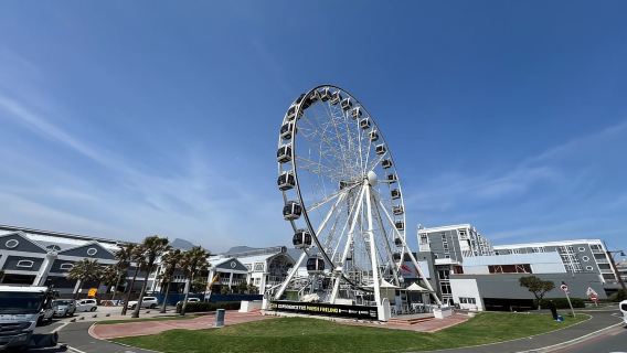 Cape Town: Lawatan Pulau Robben dan Table Mountain