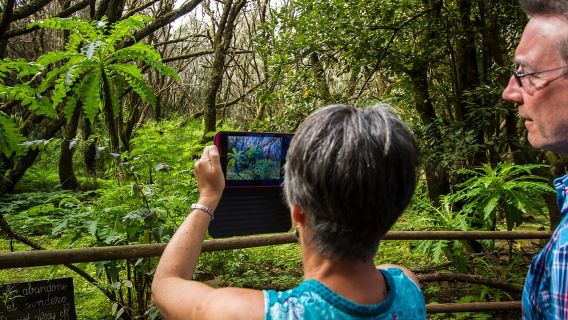 Ab Süd-Teneriffa: VIP-Tour nach La Gomera