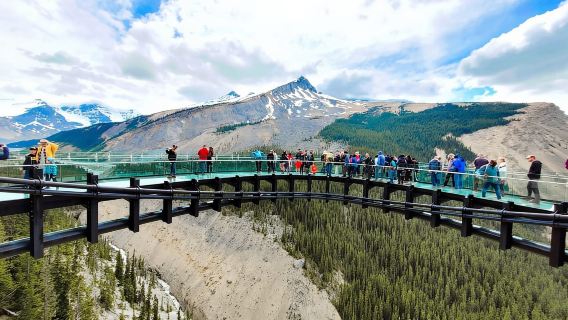 Calgary Banff: Columbia Icefield, Skywalk and Lakes Day Tour