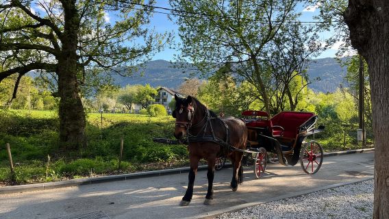 Sarajevo: Vrelo Bosne E-Bike Tour with Snacks