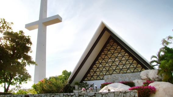 Tour della città di 6 ore con immersioni e tartarughe, solo per tutte le attrazioni e gli hotel