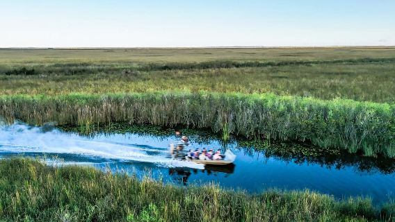 Miami: Tour tham quan bằng thuyền máy tại Công viên Quốc gia Everglades và chương trình biểu diễn động vật hoang dã