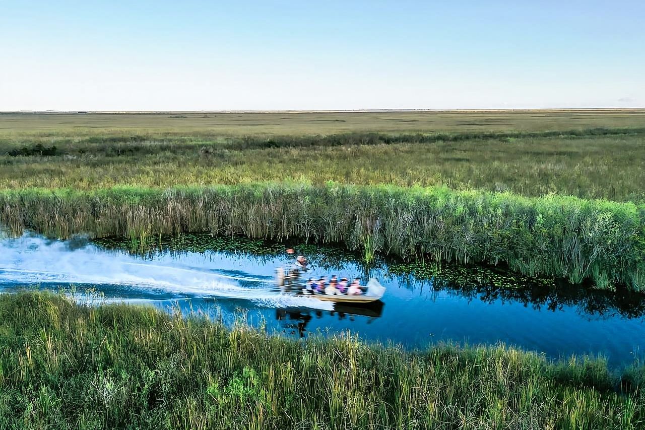 Miami: Everglades National Park Airboat Tour & Wildlife Show