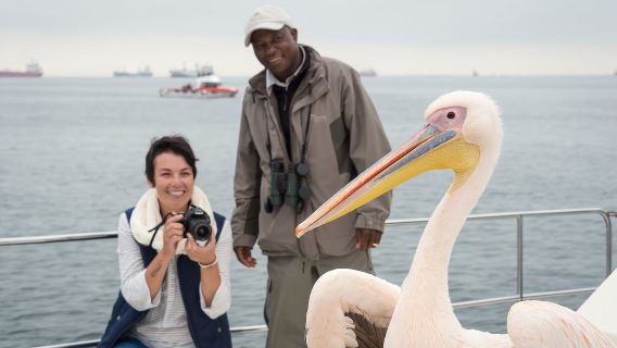 Teluk Walvis: Jelajah Catamaran Mewah Marine Big 5