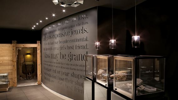 Città del Capo: visita guidata privata al Museo dei diamanti di Città del Capo