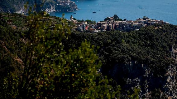 ฟลอเรนซ์: ทริปเที่ยว Cinque Terre แบบไปเช้าเย็นกลับพร้อมตัวเลือกเดินป่าหรือปิซา