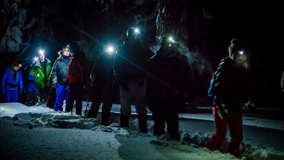Bend: Guided Moonlit Snowshoe Tour