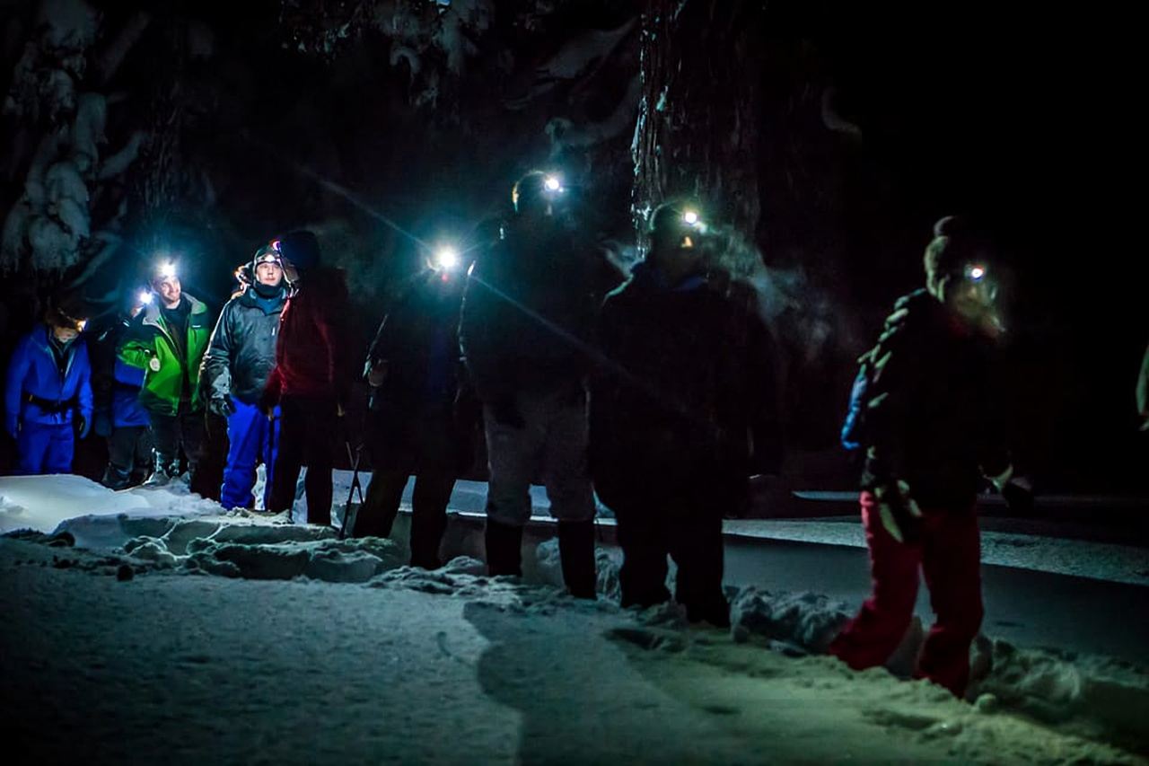 Bend: Guided Moonlit Snowshoe Tour