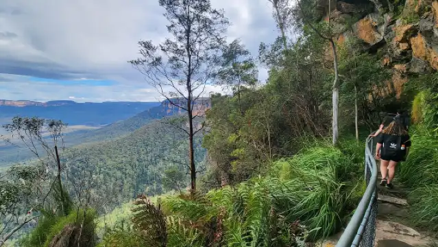 從雪梨出發：藍山之旅，瀑布漫步和午餐