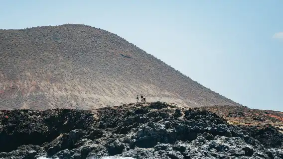 Las Galletas: Whale & Dolphin Tour with Local Skipper