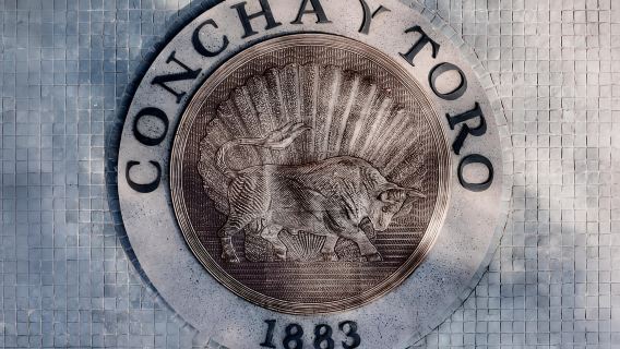 From Santiago: Concha y Toro Marqués Half-Day Wine Tasting