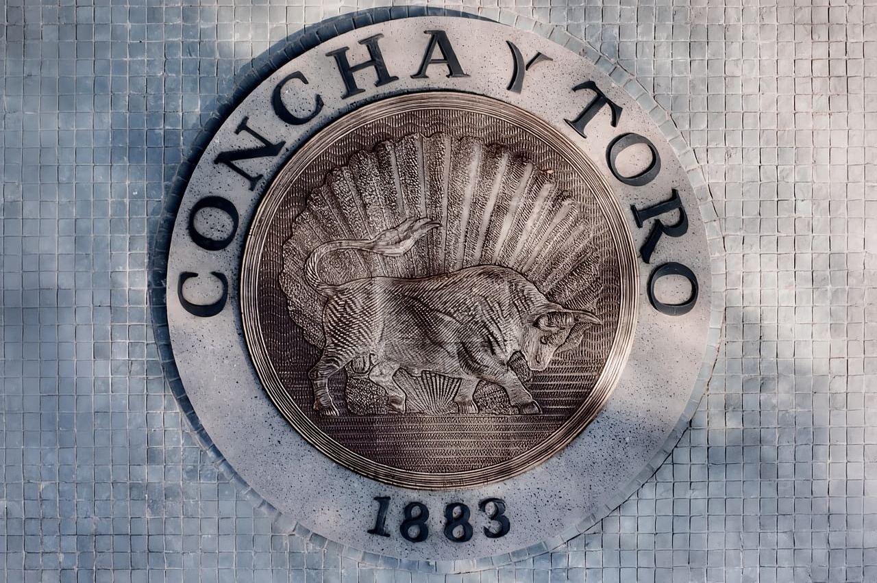 From Santiago: Concha y Toro Marqués Half-Day Wine Tasting