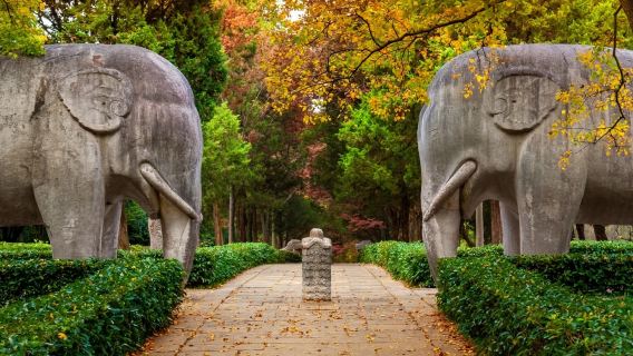 Business vehicle | English-speaking guide | Dr. Sun Yat-sen's Mausoleum + The Ming Tomb + Niushou Mountain Cultural Tourism Zone + Nanjing Confucius Temple + Zhan Garden 1-day tour