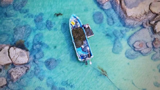 Shanwei private charter 4 hr half-day tour/Glass Sea + Red Bay Tourist Area + Windmill Island + Sea Fortress