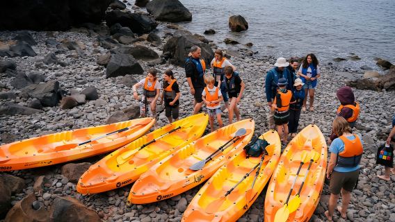 Quinta do Lorde: kajakervaring in Ponta de São Lourenço