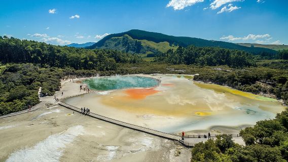 Rotorua-Highlights-Tour ab Auckland mit optionalen Extras