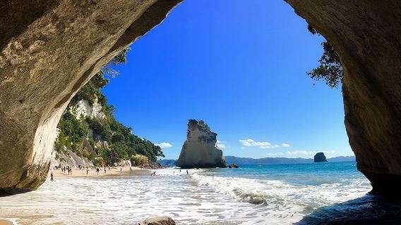 新西蘭奧克蘭｜教堂灣+科羅曼德半島+熱水海灘 包車一日遊