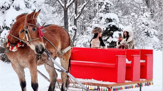 黑龍江亞布力森林秘境冰雪樂園【冰雪20項大套票+雪地摩托/UTV自駕+馬拉爬犁穿越+馴鹿園｜多種組合套票可選