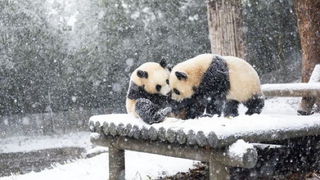 【首爾親子度假遊】愛寶樂園+樂天世界+景福宮+梨泰院