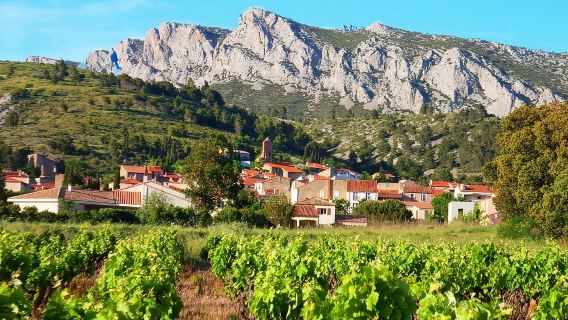 tasting workshop of 6 to 8 wines with charcuterie chocolate cheese