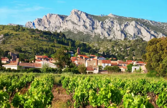 品嚐工作坊，品嚐6至8種葡萄酒，搭配熟食、巧克力和起司