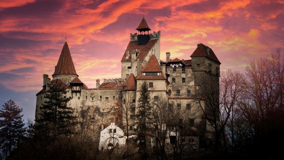 Peles Castle + Bran Castle + Brasov one-day tour in Romania