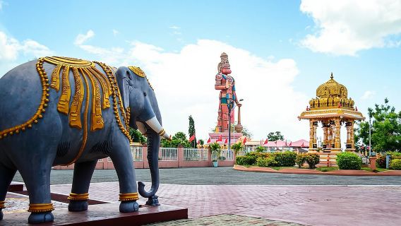 Mini Island Tour of Trinidad