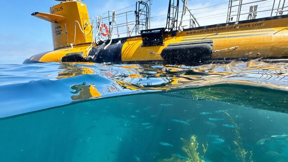 Lawatan Separuh Kapal Selam Kuning Pulau Catalina Dari Avalon