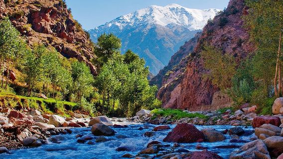 Excursion d'une journée dans la vallée de l'Ourika au départ de Marrakech