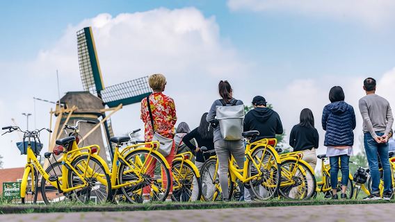 From Amsterdam Dutch countryside bike tour