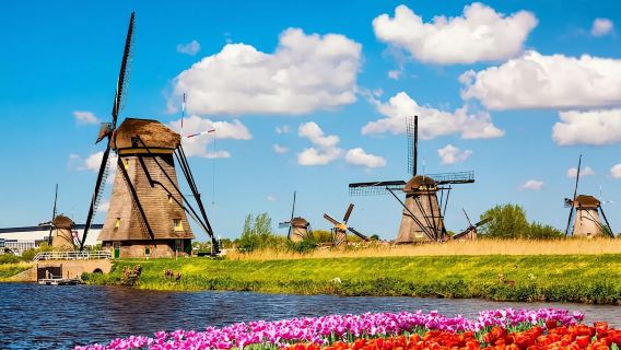 ทัวร์วันเดียว/ทัวร์หลายวัน ตลาด Rotterdam Arcade + ท่าเรือเก่า + สถานีรถไฟกลาง + โกดังศิลปะในภาษาจีนและภาษาอังกฤษ