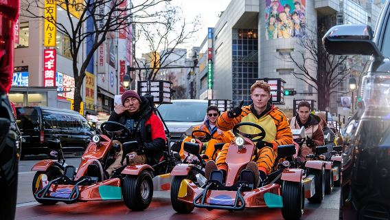 TokyoTours