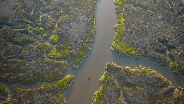Hilton Head Begeleide Kajaktocht