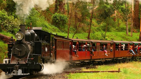 Group-buy English · Melbourne Puffing Billy Half-day Tour · Tour dates available upon request · Includes Chinese audio guide via app