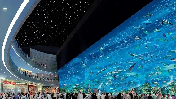 Dubai City tour from Abu Dhabi