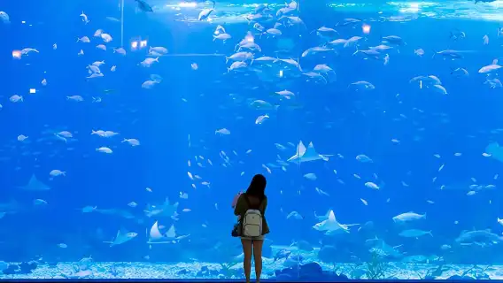 日本沖繩一日遊【私家包車|中日文可選|自由定制