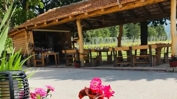 Half-Day Wine and Food Tasting from Dubrovnik