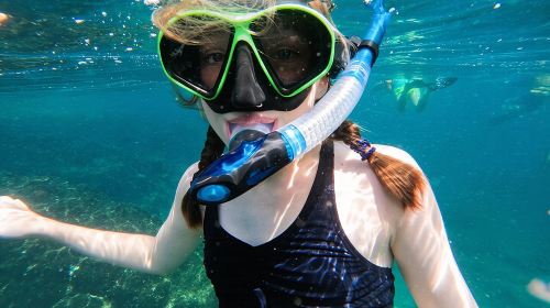 From Abu Dhabi: Snorkeling with turtles in Fujairah with BBQ 5