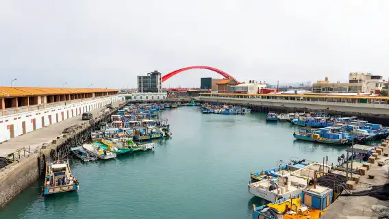 ฟาร์ม Yuanxian โรงเรียนเบสบอล Bethpela เมืองการแพทย์อัจฉริยะ Minsheng และ Gloria Outlets