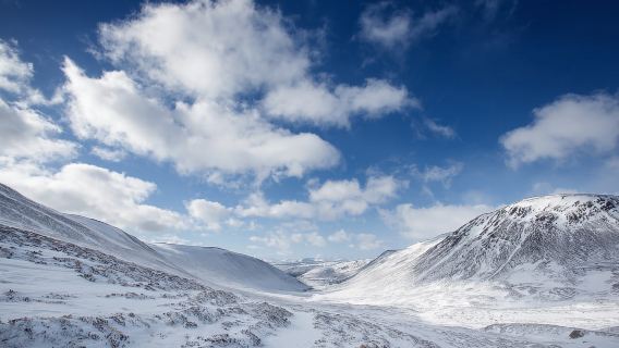 From Inverness: Cairngorms National Park and Whisky Tour