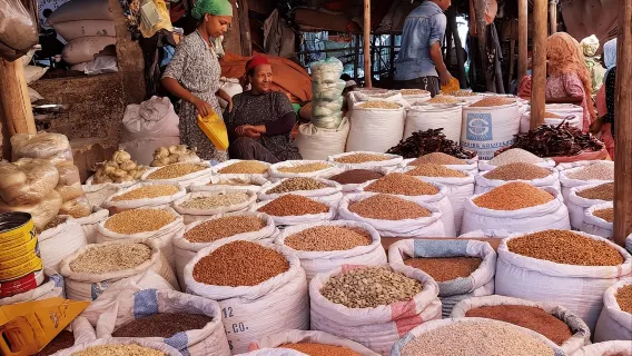 Addis Abeba: Mount Entoto heuvel & Mercato Markt tussenstop reis